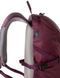 Спортивный рюкзак 20L Rocktrail Wanderrucksack бордовый 2354192929 фото 3